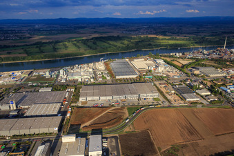 Industriegebiet Nord am Rhein mit ROWE Mineralölwerk GmbH in Worms im Bundesland Rheinland-Pfalz, Deutschland