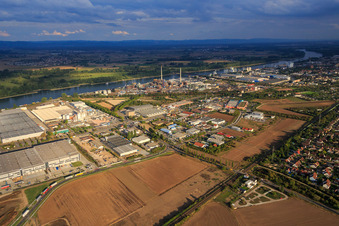 Industriegebiet Nord am Rhein mit Procter & Gamble in Worms im Bundesland Rheinland-Pfalz, Deutschland