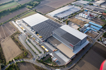 Bosch im Ortsteil Rheindürkheim in Worms im Bundesland Rheinland-Pfalz, Deutschland