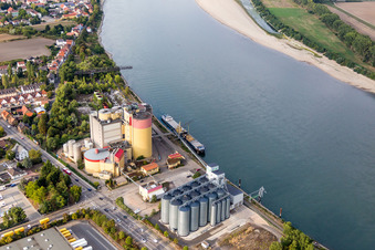 Hochsilo und Getreide- Speicher mit angrenzenden Lagerhallen der Proland Agrarhandel GmbH am Rheinufer im Ortsteil Rheindürkheim in Worms im Bundesland Rheinland-Pfalz, Deutschland