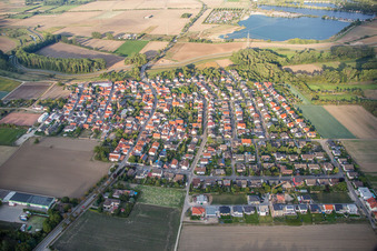 Dorf - Ansicht am Rande von landwirtschaftlichen Feldern und Nutzflächen in Wattenheim in Biblis im Bundesland Hessen, Deutschland