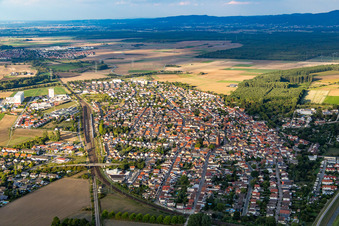 Luftaufnahme von Ortsansicht der Straßen und Häuser der Wohngebiete in Biblis im Bundesland Hessen, Deutschland