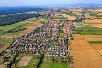 Schrägluftbild von Dorfansicht aus Osten in Minfeld im Bundesland Rheinland-Pfalz, Deutschland