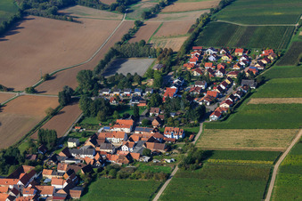 Im Schafgarten in Niederhorbach im Bundesland Rheinland-Pfalz, Deutschland
