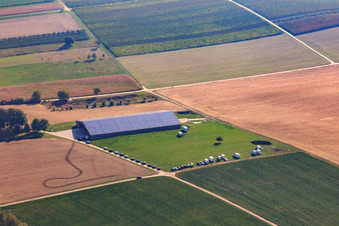 Wohnmobile am Nationalfeiertag in Dierbach im Bundesland Rheinland-Pfalz, Deutschland