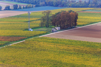Luftbild von Wasserbrunnen und Mobilfunkmast am Höhenweg in Minfeld im Bundesland Rheinland-Pfalz, Deutschland