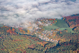 Luftbild von Ortsansicht unter Morgennebel im Ortsteil Erlenbach in Erbach im Bundesland Hessen, Deutschland