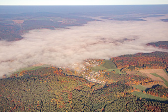 Luftaufnahme von Ortsansicht unter Morgennebel im Ortsteil Erlenbach in Erbach im Bundesland Hessen, Deutschland