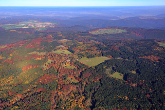Jagdschloss Eulbach und Forsthaus Eulbach am Englischer Garten Eulbach im Ortsteil Würzberg in Michelstadt im Bundesland Hessen, Deutschland