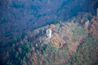 Anebos in Leinsweiler im Bundesland Rheinland-Pfalz, Deutschland