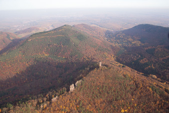 Luftbild von Burgruinen Anebos Jungturm und Scharfenberg in Leinsweiler im Bundesland Rheinland-Pfalz, Deutschland