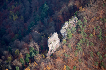 Burgruine Jungturm in Leinsweiler im Bundesland Rheinland-Pfalz, Deutschland