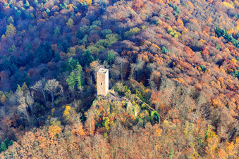 Burgruine Scharfenberg in Leinsweiler im Bundesland Rheinland-Pfalz, Deutschland