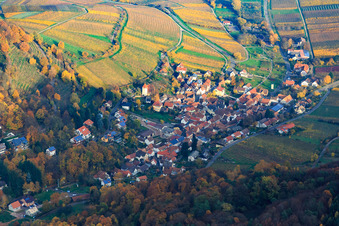 Luftbild von Winzerort aus Westen im Herbstlaub in Leinsweiler im Bundesland Rheinland-Pfalz, Deutschland