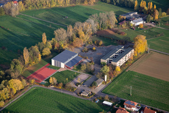 Schrägluftbild von Ortsteil Ingenheim in Billigheim-Ingenheim im Bundesland Rheinland-Pfalz, Deutschland