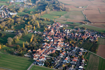 Ortsteil Mühlhofen in Billigheim-Ingenheim im Bundesland Rheinland-Pfalz, Deutschland von oben