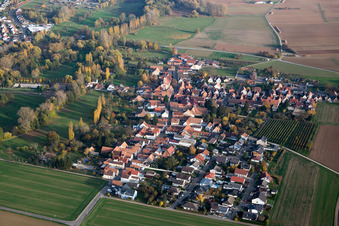 Luftbild von Ortsansicht der Straßen und Häuser der Wohngebiete im Ortsteil Mühlhofen in Billigheim-Ingenheim im Bundesland Rheinland-Pfalz, Deutschland