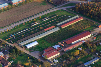 Holzlager an der Klärstr in Kandel im Bundesland Rheinland-Pfalz, Deutschland