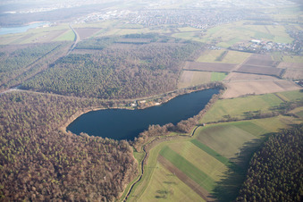 Sieben-Erlensee im Ortsteil Neuthard in Karlsdorf-Neuthard im Bundesland Baden-Württemberg, Deutschland