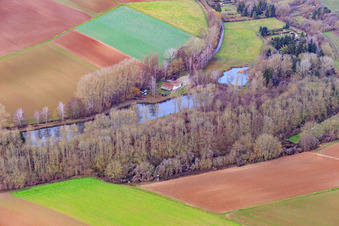 Fischteich des ASV Klares Wasser Inshein am Quodbach in Insheim im Bundesland Rheinland-Pfalz, Deutschland