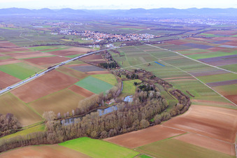 Luftbild von Fischteich des ASV Klares Wasser Inshein am Quodbach in Insheim im Bundesland Rheinland-Pfalz, Deutschland