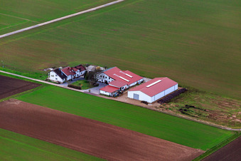 Wein- u. Sektgut Rosenhof in Steinweiler im Bundesland Rheinland-Pfalz, Deutschland