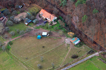 Ferienwohnung Saigenranch in Pleisweiler-Oberhofen im Bundesland Rheinland-Pfalz, Deutschland