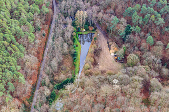 Fisschteich im Pfälzerwald in Pleisweiler-Oberhofen im Bundesland Rheinland-Pfalz, Deutschland