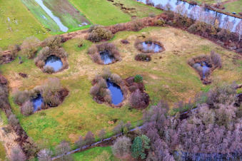 Biotop im Viehstrich in Steinfeld im Bundesland Rheinland-Pfalz, Deutschland