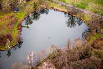 Biotop Teichanlagen im Winter mit Uferbäumen in Steinfeld im Bundesland Rheinland-Pfalz, Deutschland