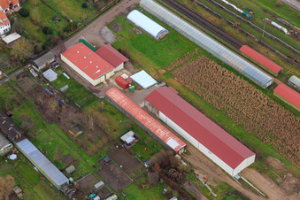 Landwirtschaftliche Hallen Am Ettenbaum in Kandel im Bundesland Rheinland-Pfalz, Deutschland