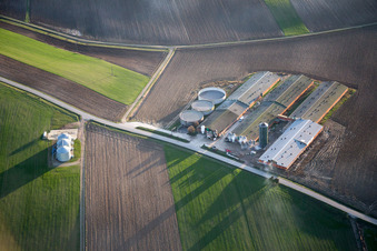 Oberlauterbach im Bundesland Bas-Rhin, Frankreich