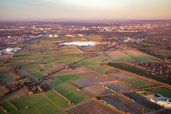 Almendäcker im Ortsteil Mörsch in Rheinstetten im Bundesland Baden-Württemberg, Deutschland