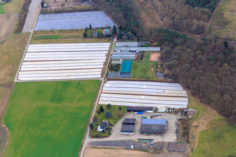 Eichenhof von Karl Schewes in Hanhofen im Bundesland Rheinland-Pfalz, Deutschland