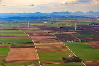 Windpark zwischen Bellheim und Offenbach in Knittelsheim im Bundesland Rheinland-Pfalz, Deutschland