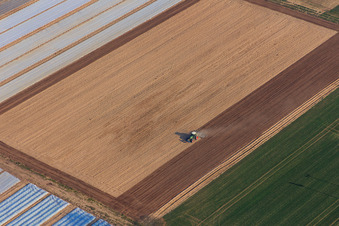 Traktor beim Eggen eines Feldes in Freisbach im Bundesland Rheinland-Pfalz, Deutschland