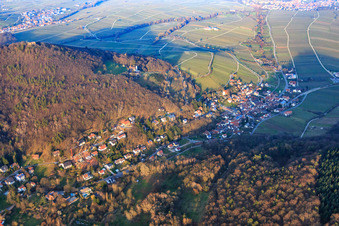 Trifelsstr im Birnbachtal von Südwesten im Abendlicht in Leinsweiler im Bundesland Rheinland-Pfalz, Deutschland