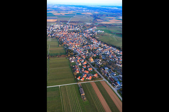 Luftaufnahme von Hauptstraße von Westen in Insheim im Bundesland Rheinland-Pfalz, Deutschland
