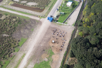 Borgo Manara im Bundesland Emilia-Romagna, Italien von oben