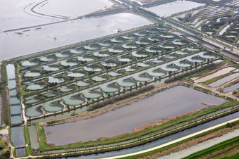 Pila im Bundesland Venetien, Italien aus der Luft