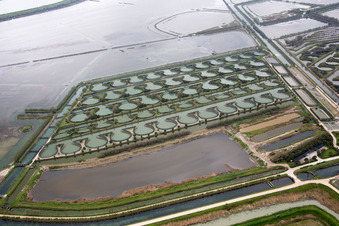 Pila im Bundesland Venetien, Italien vom Flugzeug aus