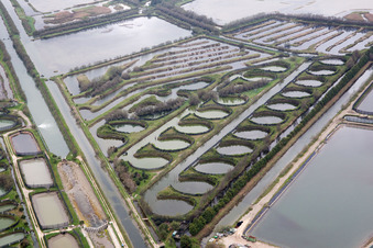 Pila im Bundesland Venetien, Italien aus der Luft betrachtet