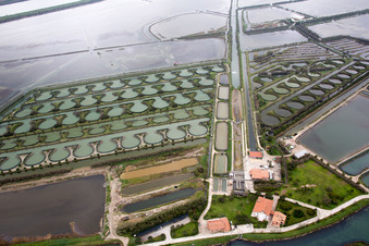 Drohnenbild von Pila im Bundesland Venetien, Italien