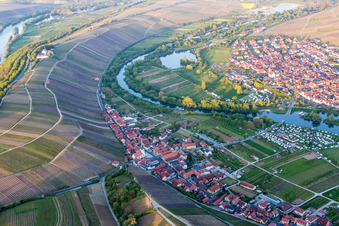Felder einer Weinbergs- Landschaft der Winzer- Gebiete in Nordheim am Main im Ortsteil Escherndorf in Volkach im Bundesland Bayern, Deutschland
