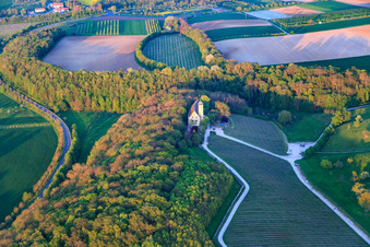 Schloss Hallburg Vinothek an der Mainschleife in Volkach im Bundesland Bayern, Deutschland
