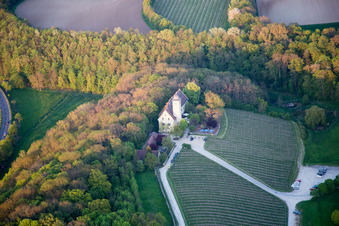 Burganlage des Schloß Hallburg Vinothek mit Weinbergen in Volkach im Bundesland Bayern, Deutschland