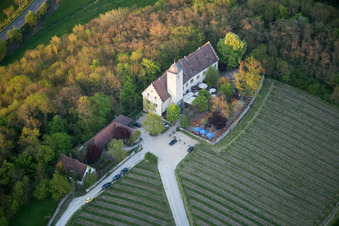 Luftbild von Burganlage des Schloß Hallburg Vinothek mit Weinbergen in Volkach im Bundesland Bayern, Deutschland