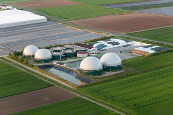 Luftbild von Glasdach- Flächen in den Gewächshausreihen zur Blumenzucht und Kuppeln einer Biogasanlage von Gartenbau Gernert im Ortsteil Oberspiesheim in Kolitzheim im Bundesland Bayern, Deutschland
