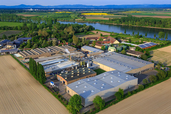 Luftaufnahme von Intersnack Deutschland SE Werk Petersau am Rheinufer im Ortsteil Mörsch in Frankenthal im Bundesland Rheinland-Pfalz