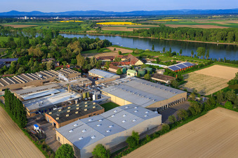 Schrägluftbild von Intersnack Deutschland SE Werk Petersau am Rheinufer im Ortsteil Mörsch in Frankenthal im Bundesland Rheinland-Pfalz